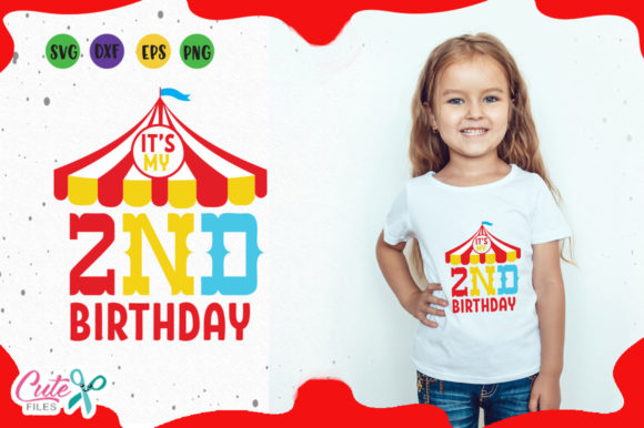 It s My 2nd Birthday: A Designer Review